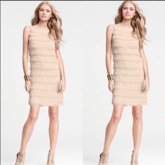 Ann Taylor Dresses & Skirts - Ann Taylor layered sheath dress